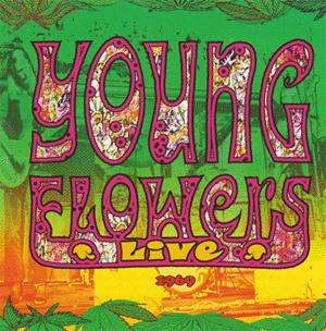Young Flowers: LIVE